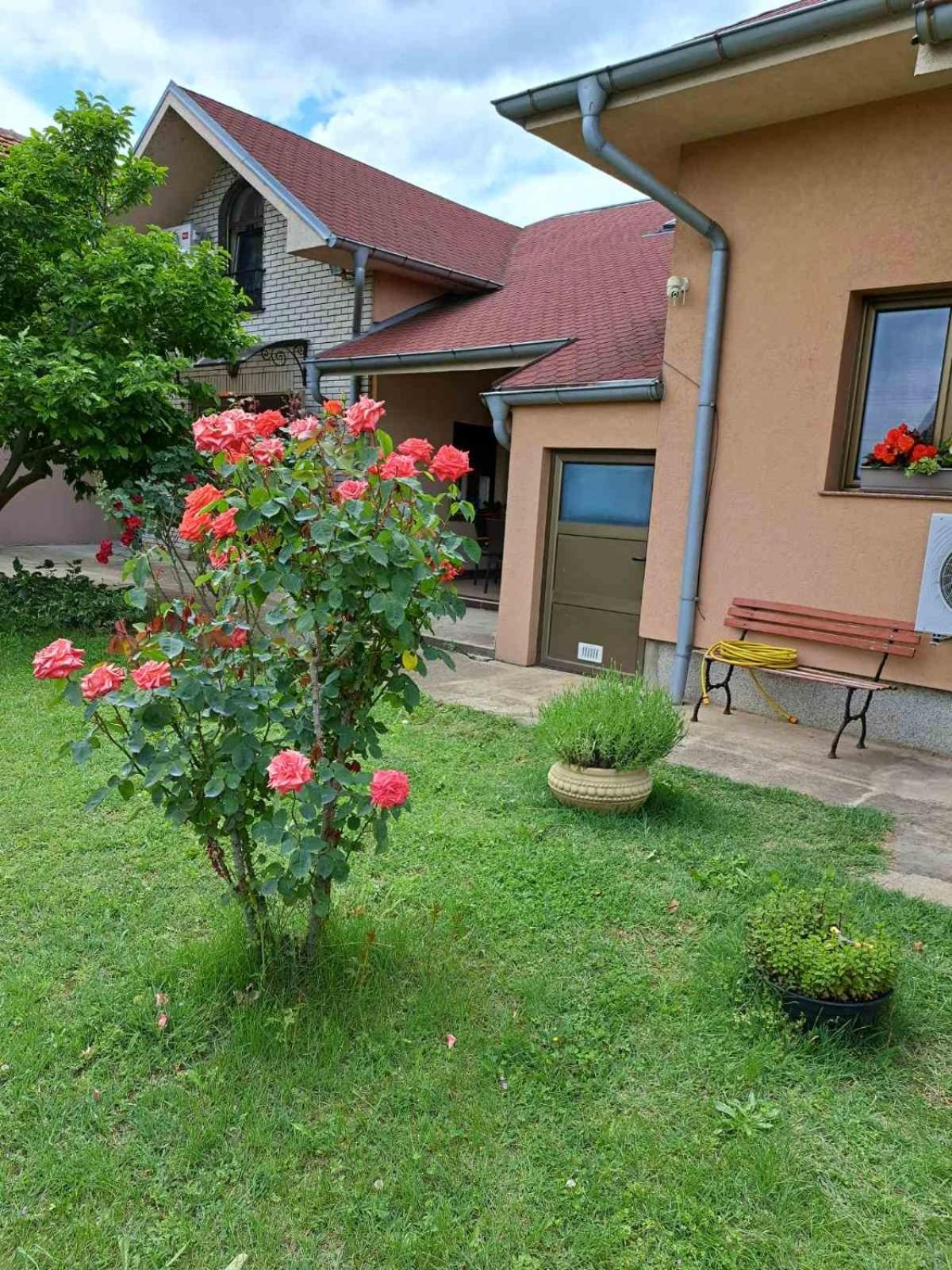 Villa Nena Kladovo Ngoại thất bức ảnh